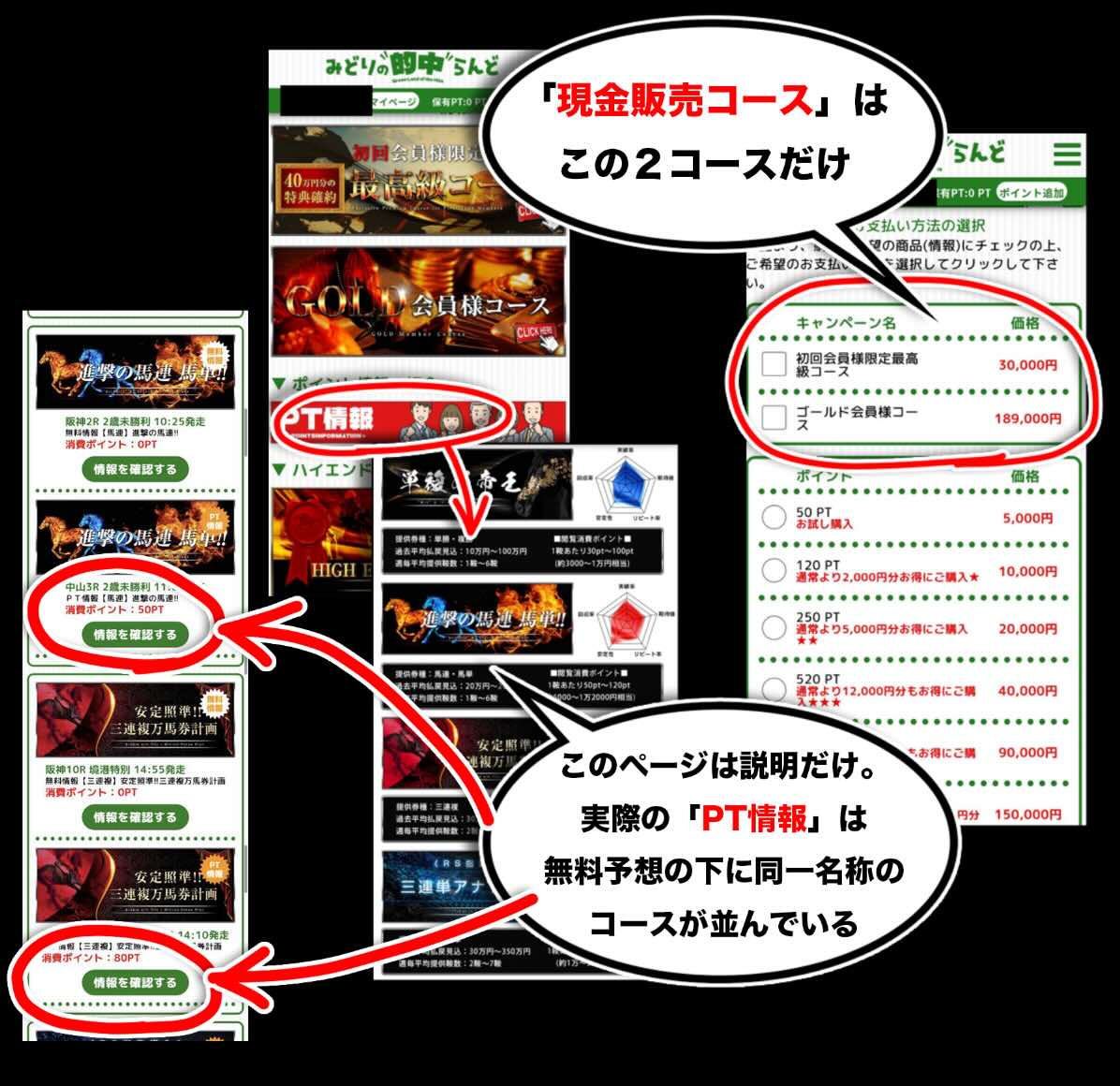 みどりの的中らんどが提供する競馬予想
